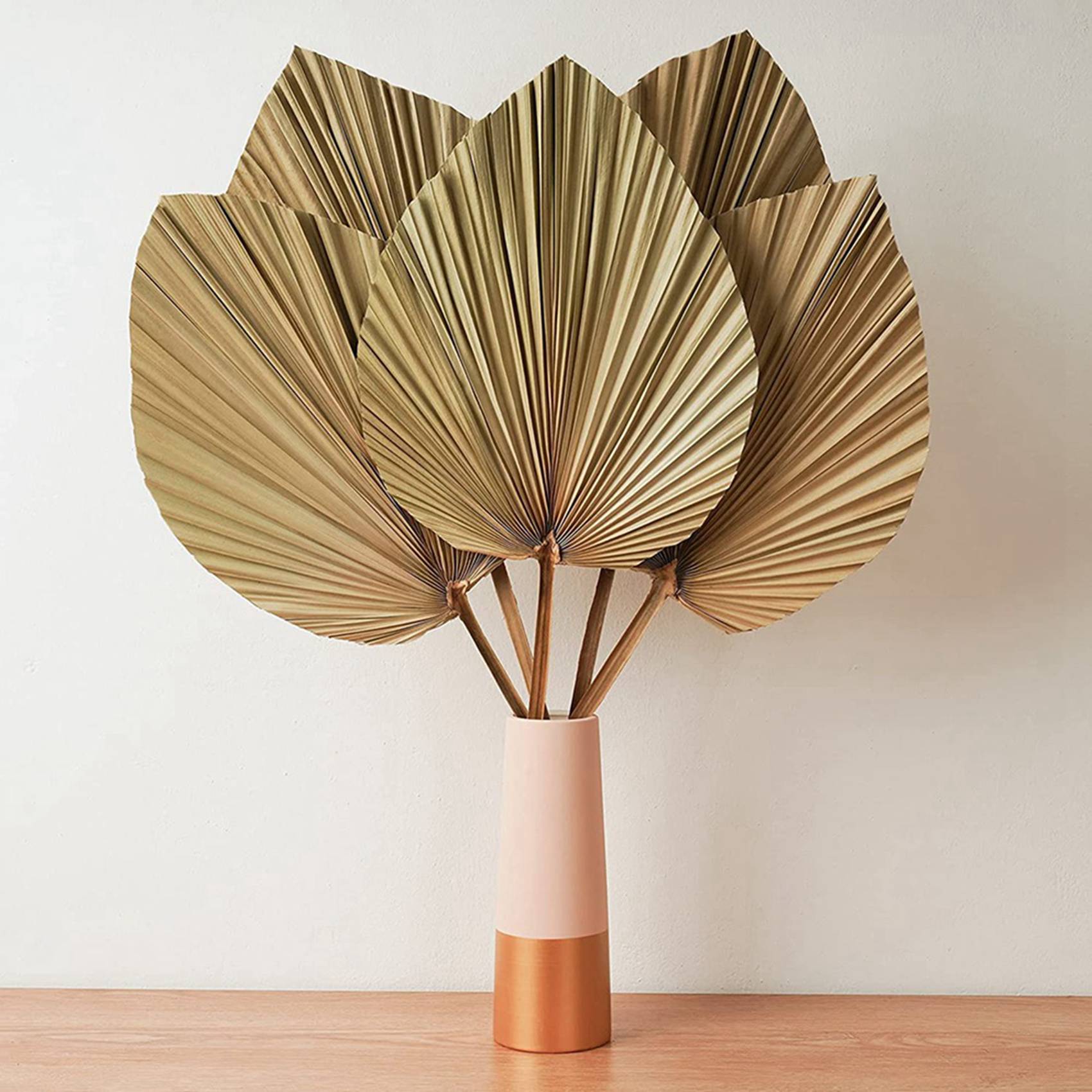 Palm Leaf Dried - أوراق النخيل المجففة لديكور الغرف 10