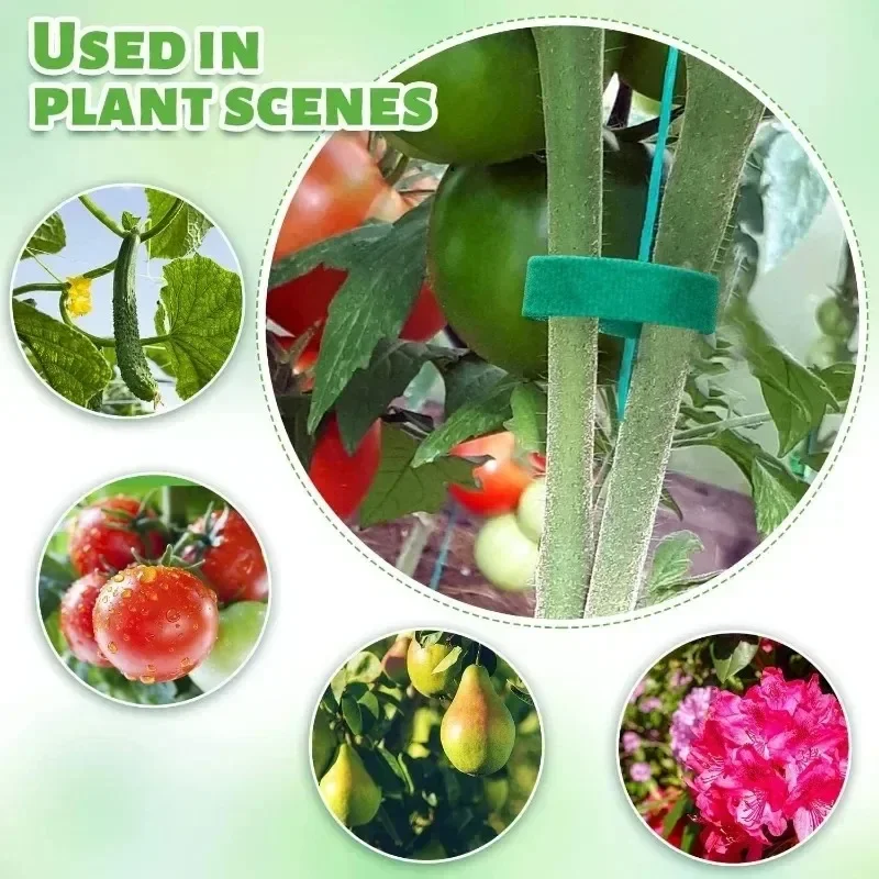 شريط حديقة من النايلون لتثبيت  - مراجعة Florist Supp وسعره