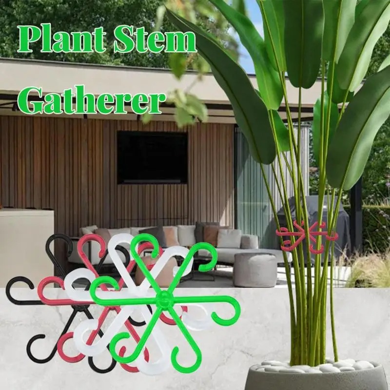 مشبك دعم ساق النبات، رف تثبيت  - مراجعة Florist Supp وسعره