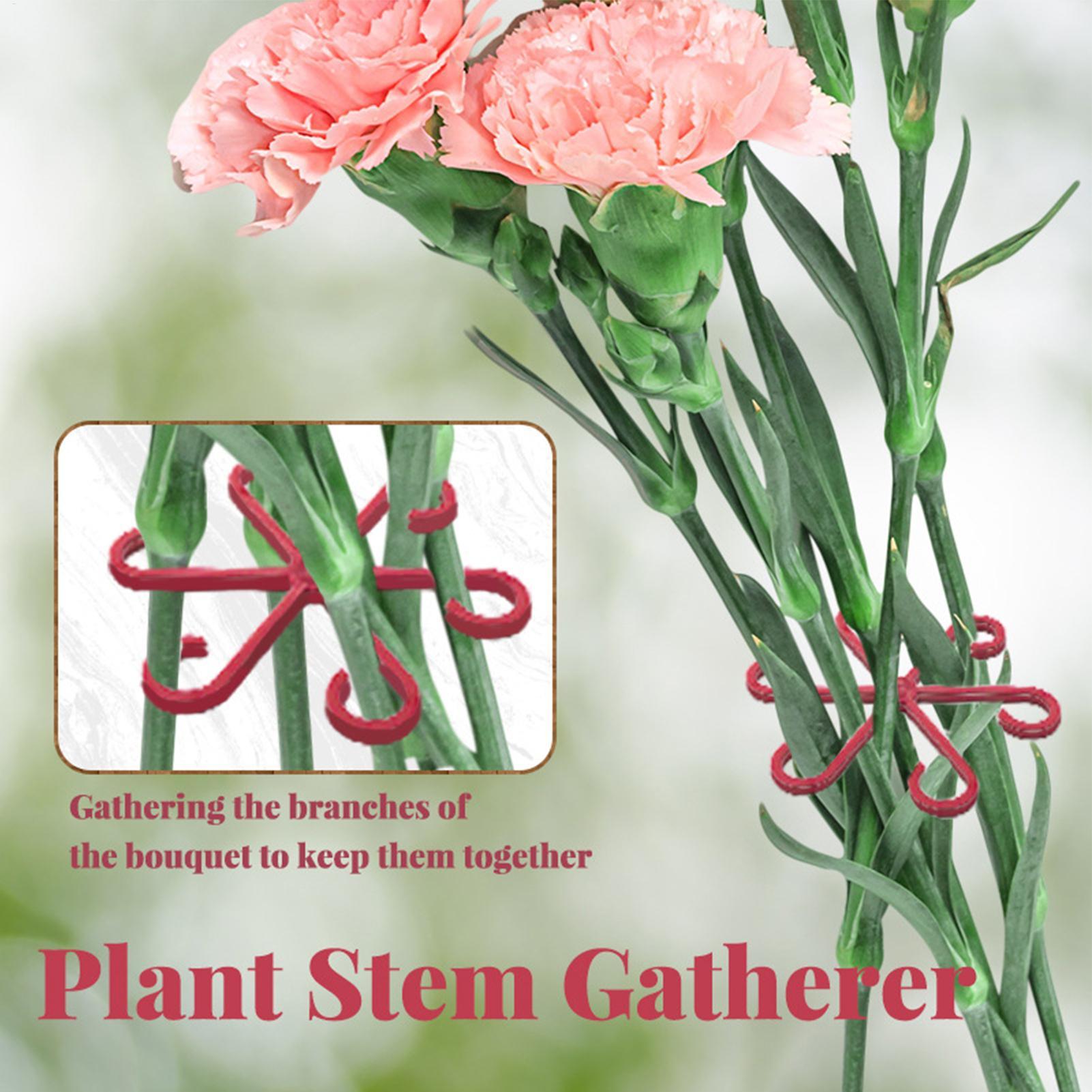 4 قطع مشبك تثبيت النباتات، إطا - مراجعة Florist Supp وسعره