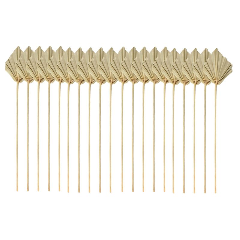 أوراق نخيل مجففة صغيرة طبيعية  - مراجعة Palm Leaf Dried وسعره
