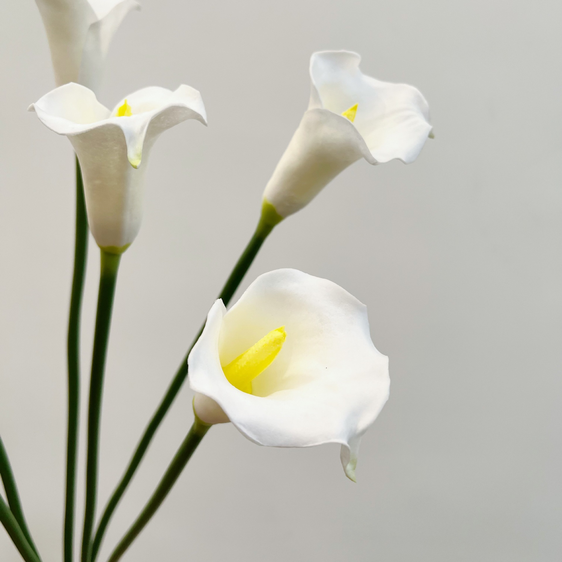 زهرة الكالا الاصطناعية بساق وا - مراجعة Florist Supp وسعره