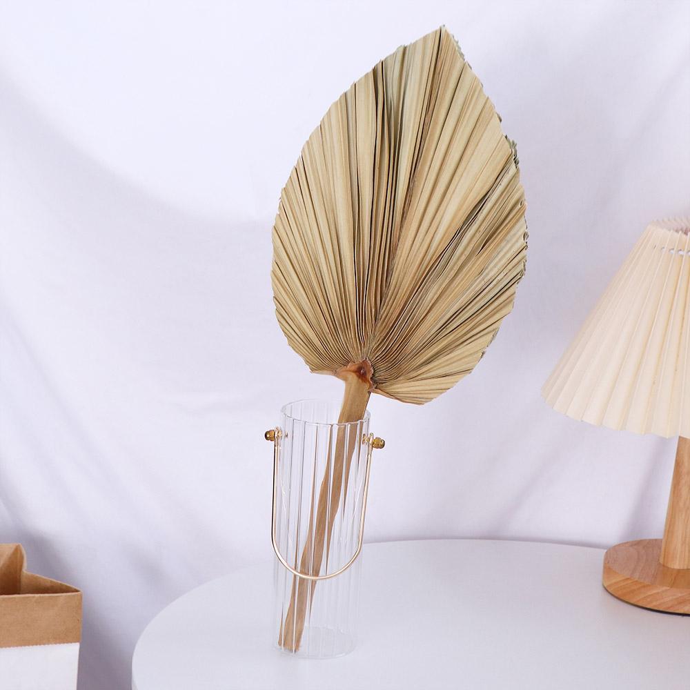 أوراق نباتية مجففة من سهام الن - مراجعة Palm Leaf Dried وسعره