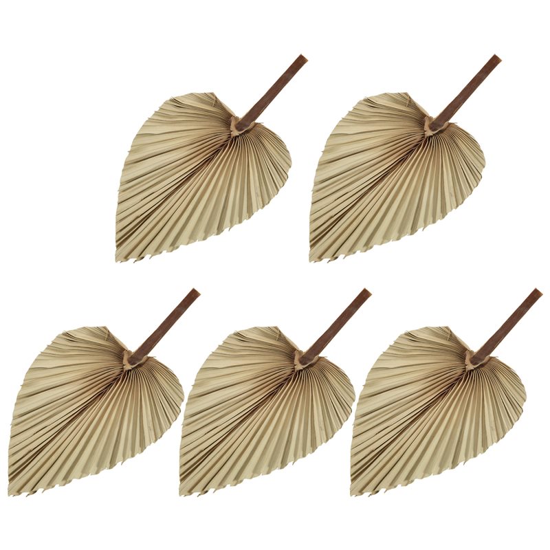5 قطع من أوراق النخيل الطبيعية - مراجعة Palm Leaf Dried وسعره