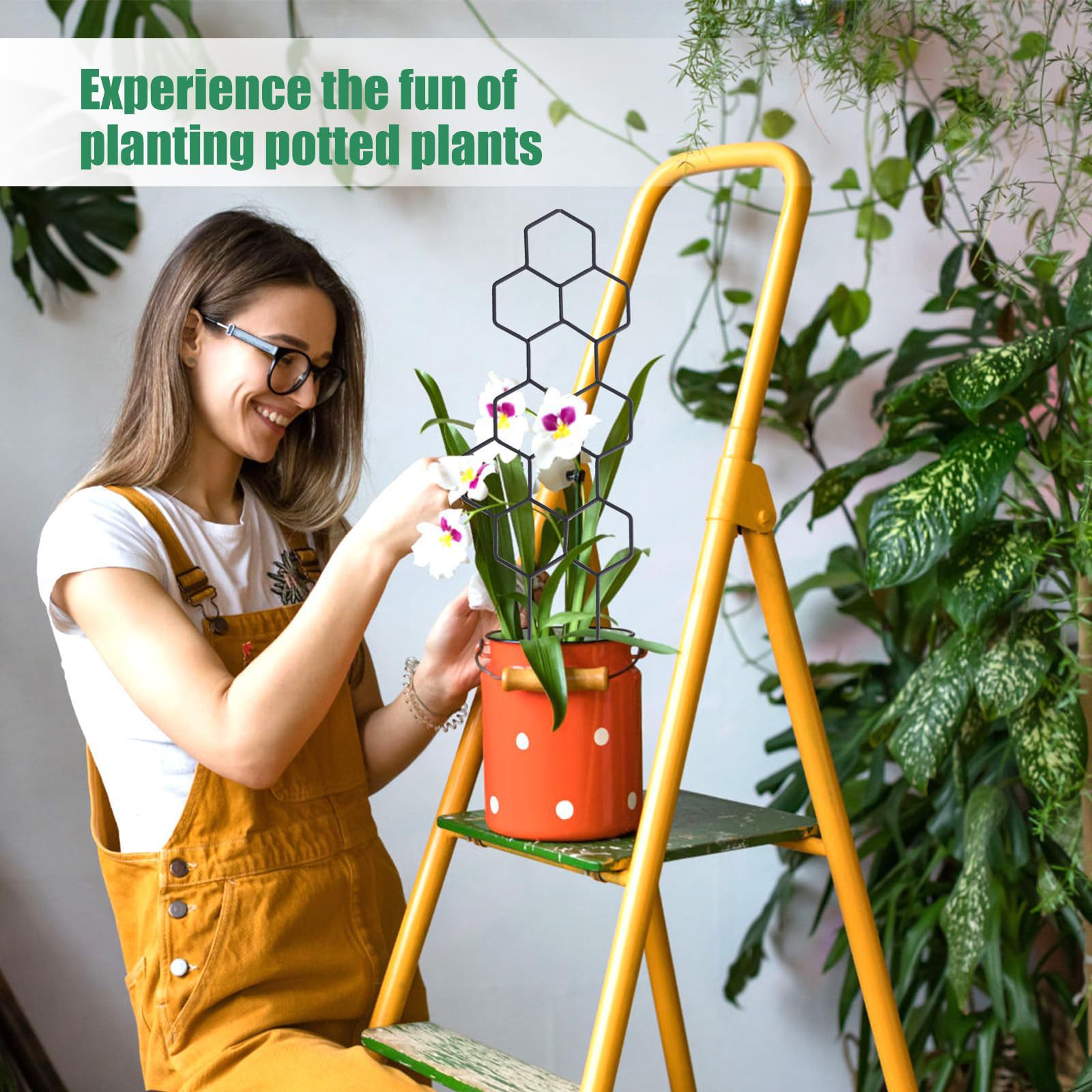 دعامة نباتات بتصميم خلية النحل - مراجعة Florist Supp وسعره