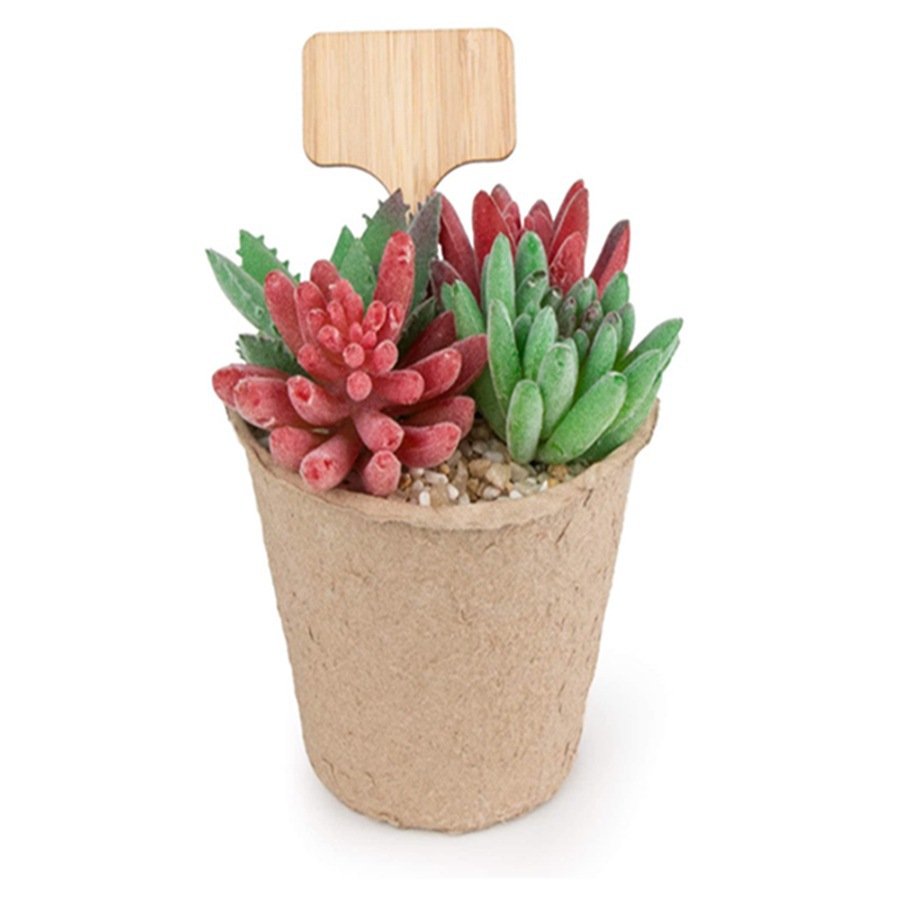 100 قطعة من علامات النباتات ال - مراجعة Floral Picks Wood وسعره